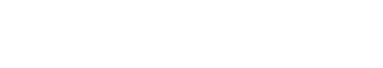 Revo PartyBox